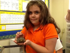 Jayla and desert tortoise
